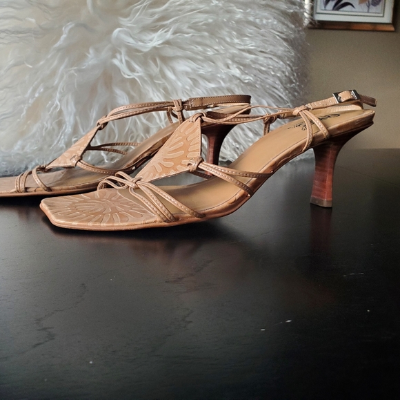 Carlos Santana - Picture 3 of 4